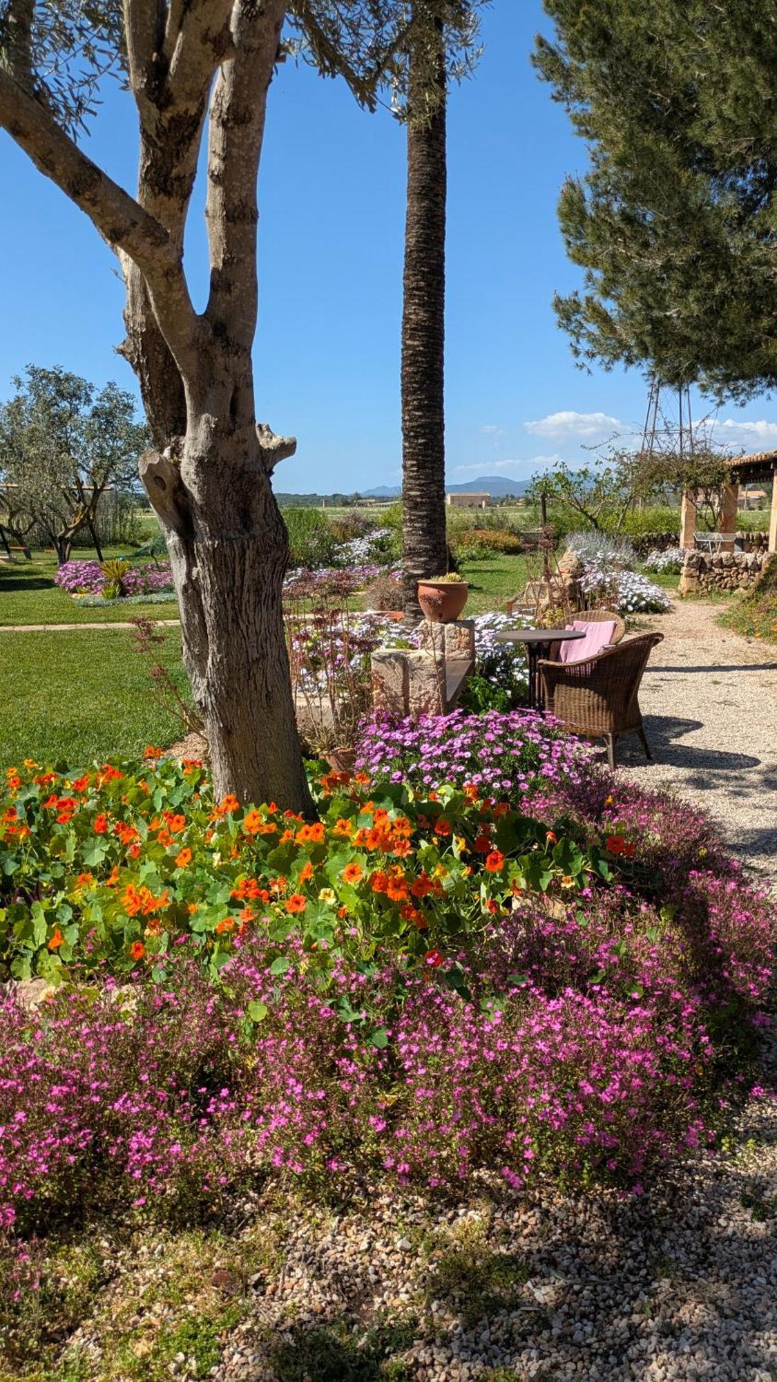 Casa di campagna Sant Blai *