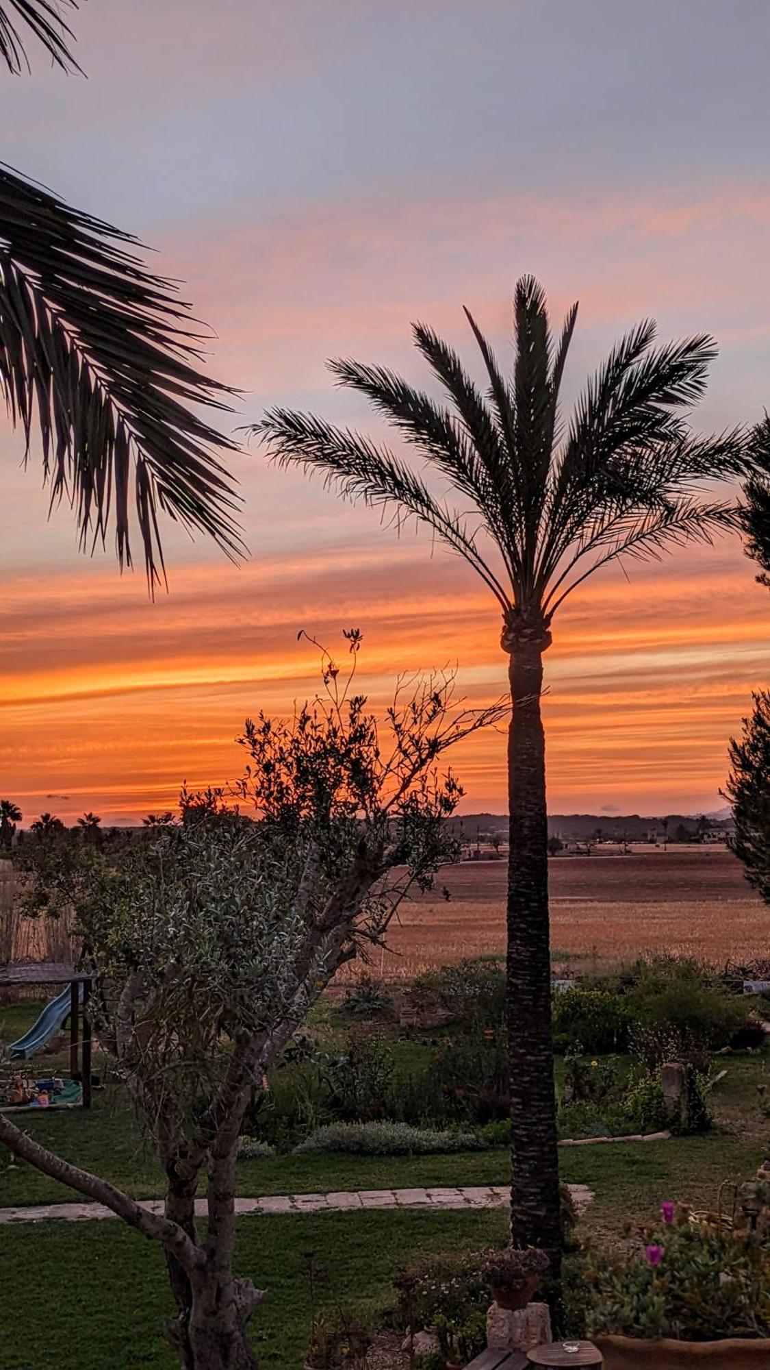Casa di campagna Sant Blai Campos (Mallorca)