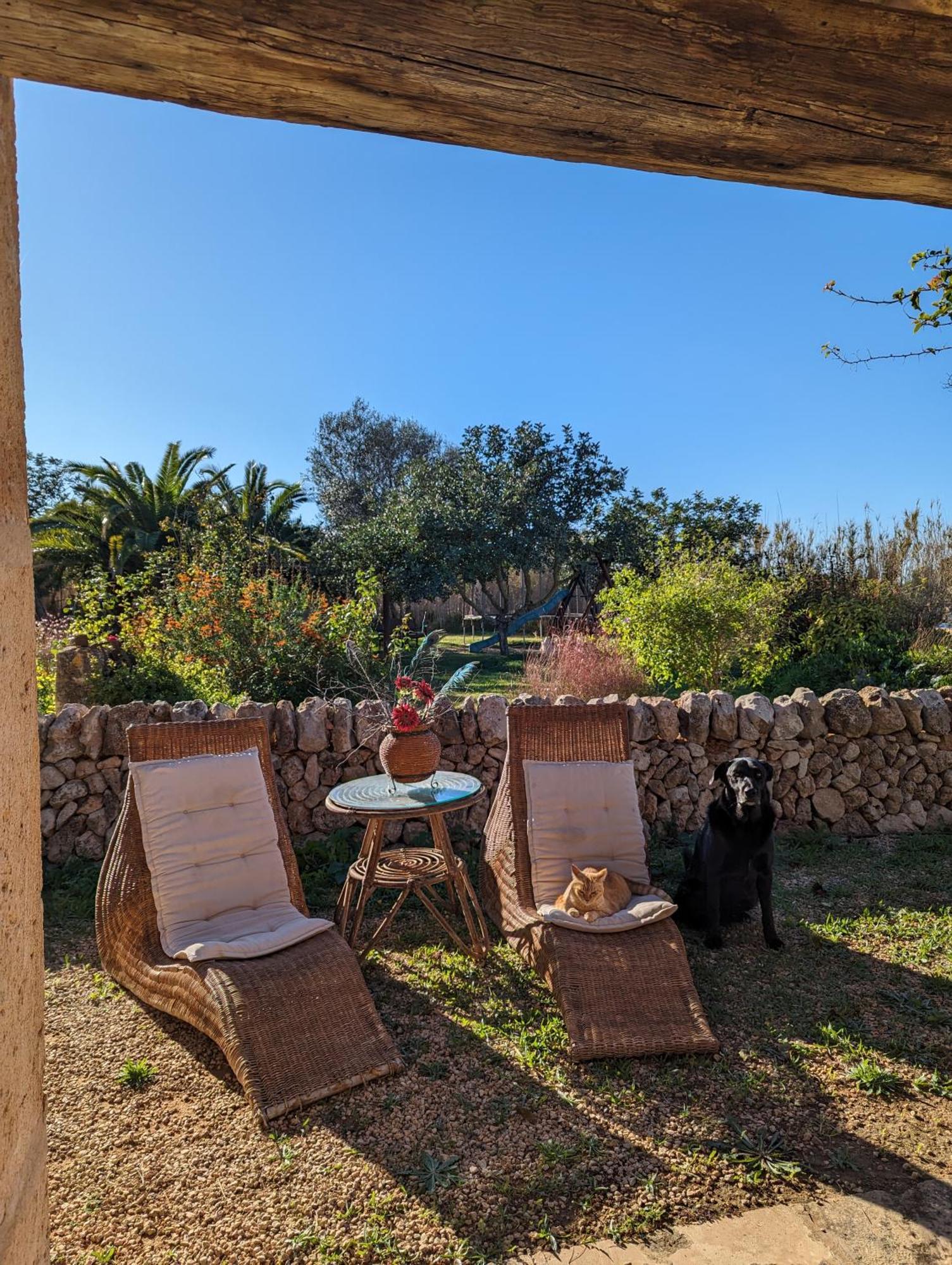 Sant Blai Casa di campagna Campos (Mallorca)